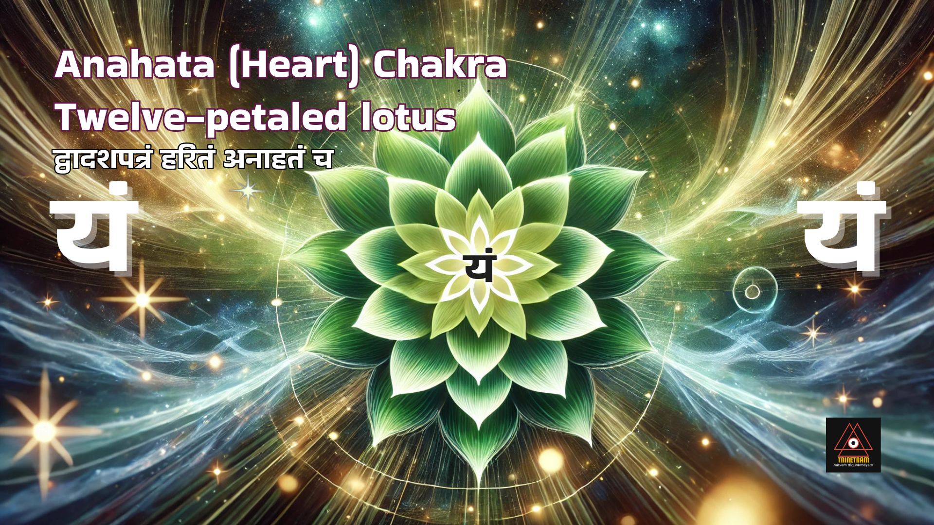 Anahata Heart Chakra Trinetramyc